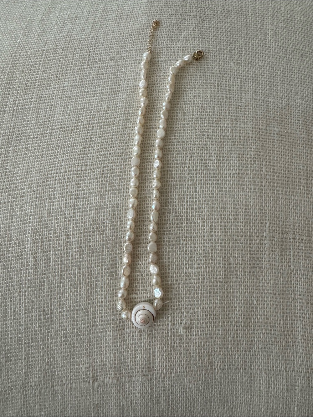 Galley Los Angeles single shell necklace